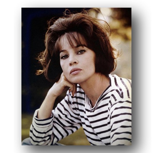 Leslie caron photo 8x10 - leslie,