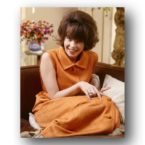Leslie caron photo 8x10 1965 - leslie,
